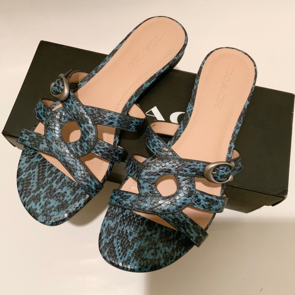 Coach Kennedy Mineral Leather Blue Black Snake Animal Print Flat Slide Sandal 10 - Picture 2 of 4